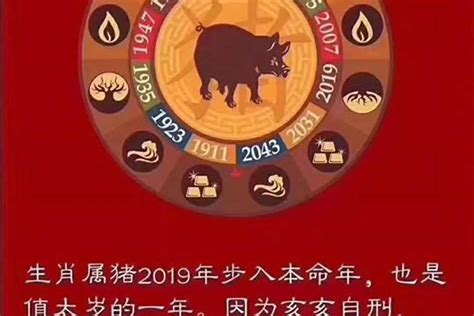 乙亥年生肖|乙亥年是属什么生肖 乙亥年出生的人命运